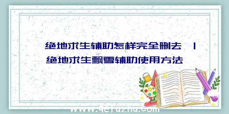 「绝地求生辅助怎样完全删去」|绝地求生飘雪辅助使用方法